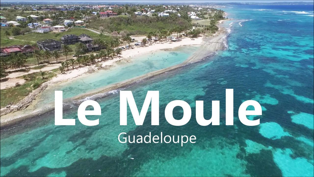 Le Moulin De La Baie vue mer Le Moule Eksteriør bilde